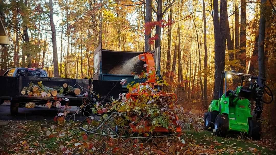 Thompson Tree Service