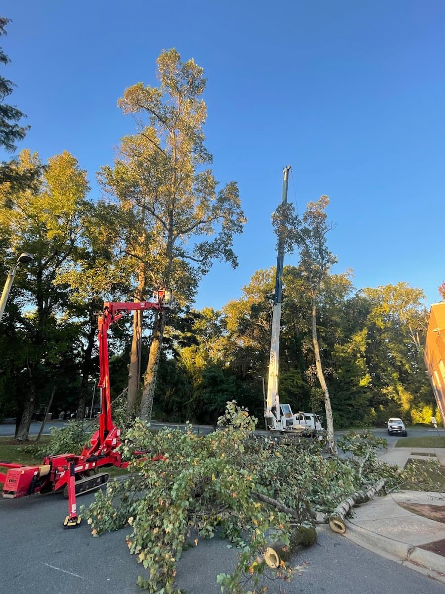 Ryan's Tree Service LLC