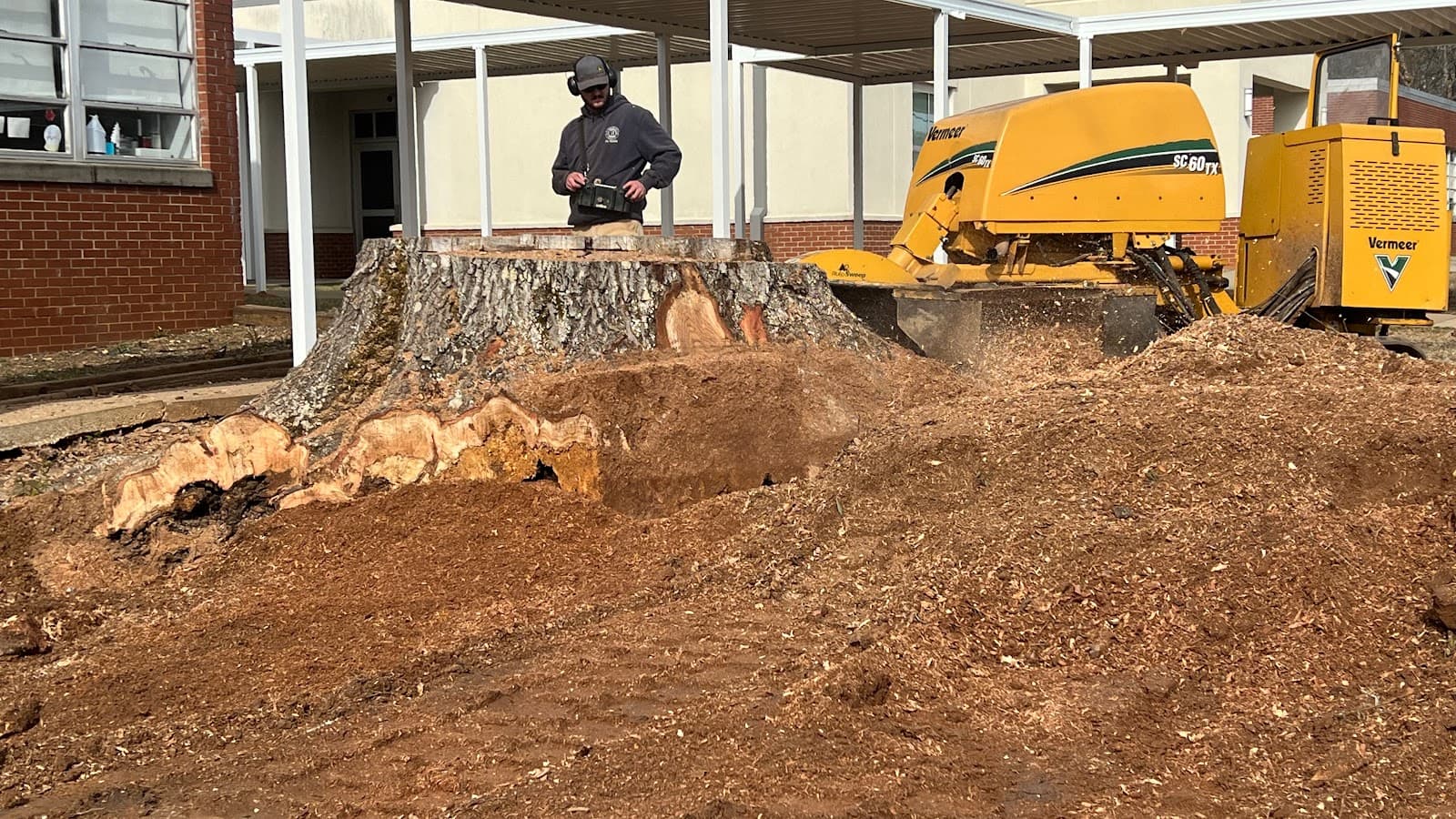 Ballard Stump Grinding & Land Clearing
