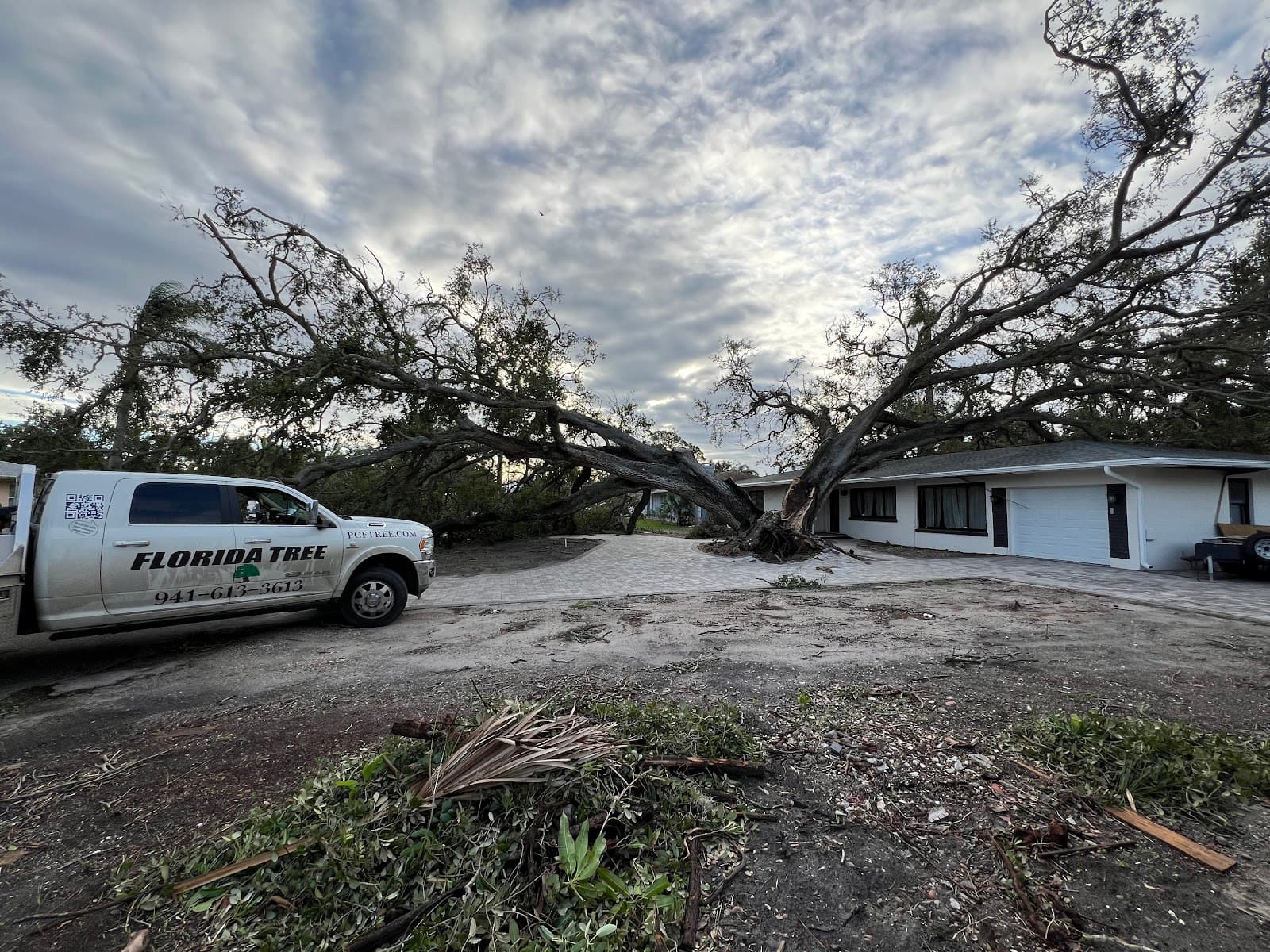 Florida Tree & Ground Maintenance Inc.