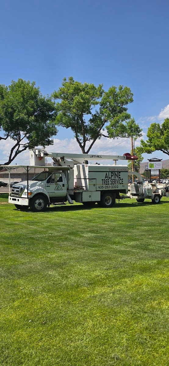 Alpine Tree Service