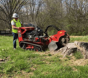Absolute Stump Grinding