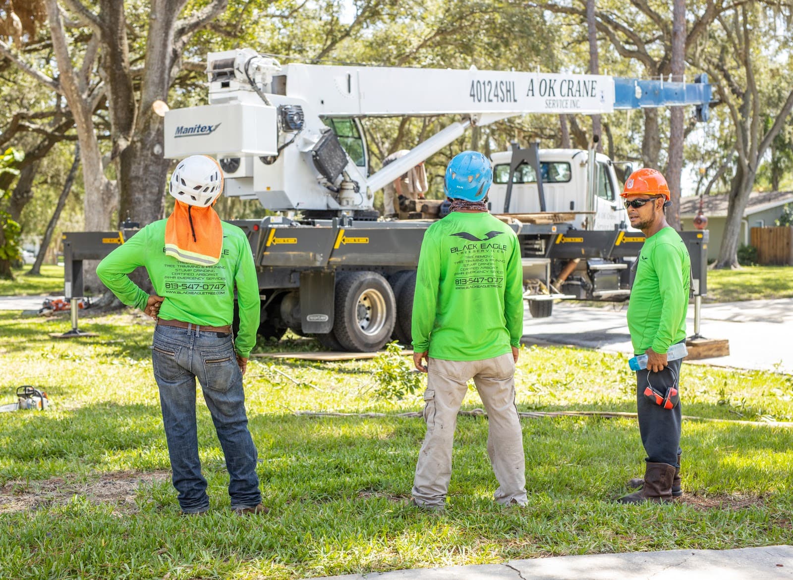 Black Eagle Tree Services