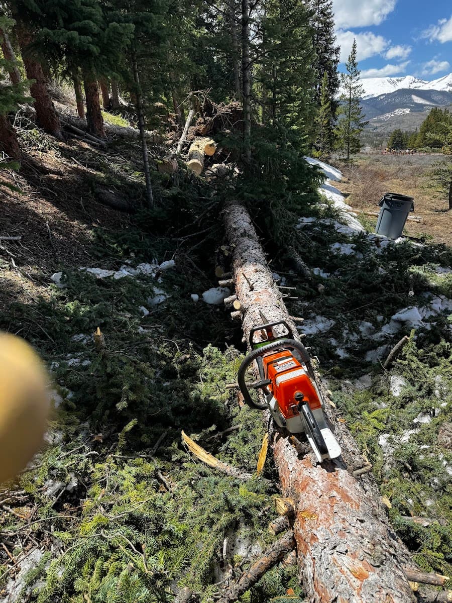 Summit County Tree Care