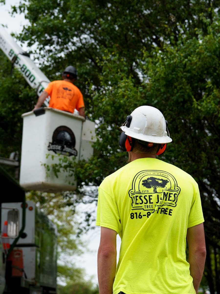 Jesse James Tree Service