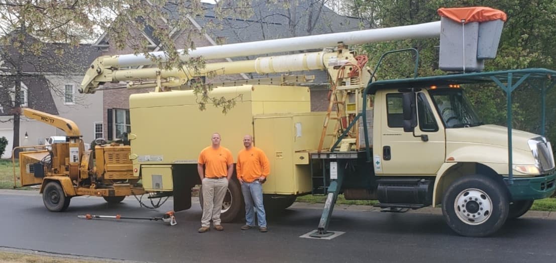 OUT ON A LIMB TREE SERVICE