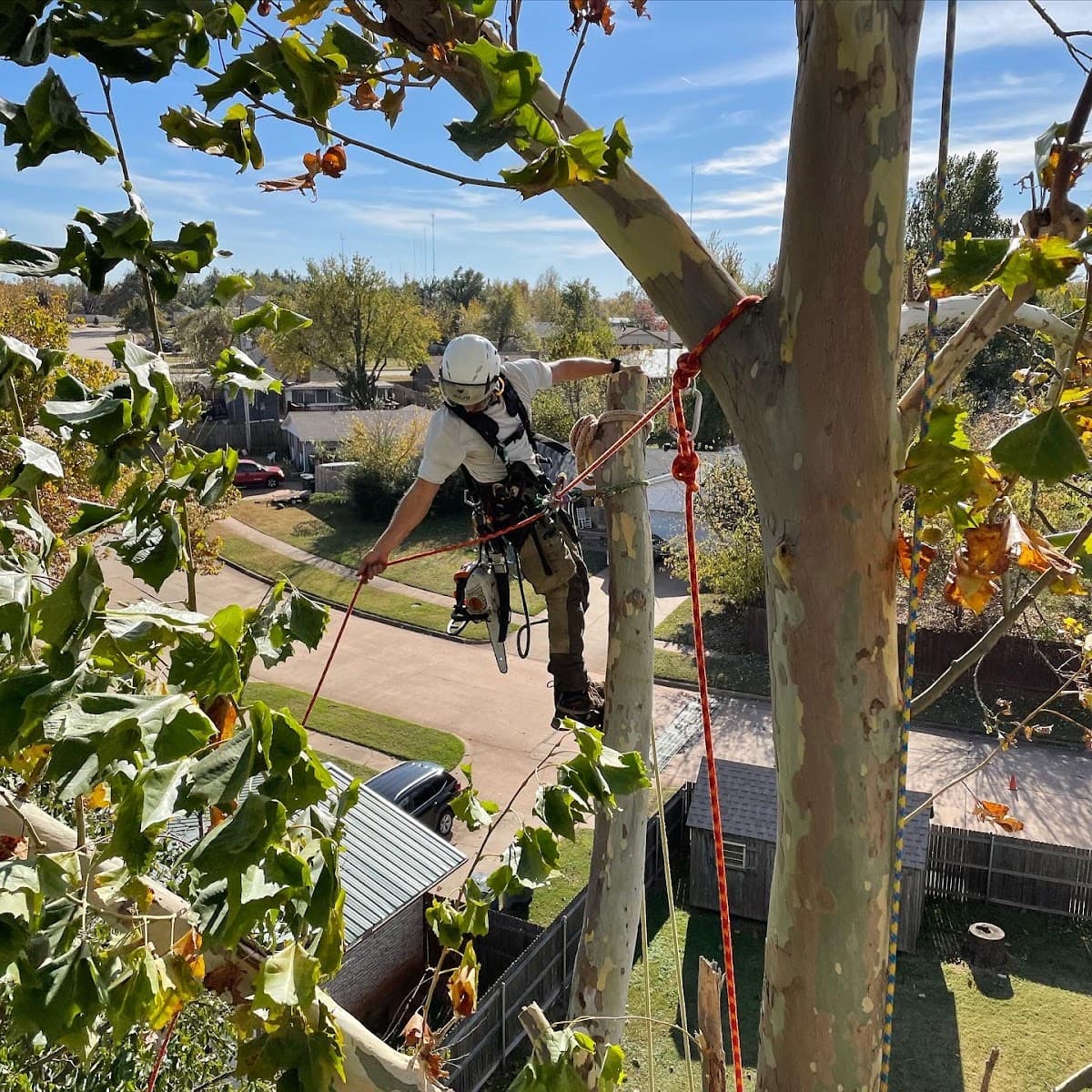 Full Circle Tree Service
