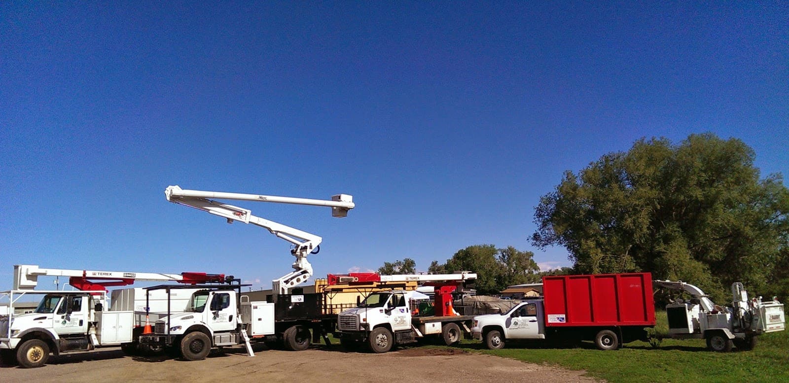 Foothills Tree Experts
