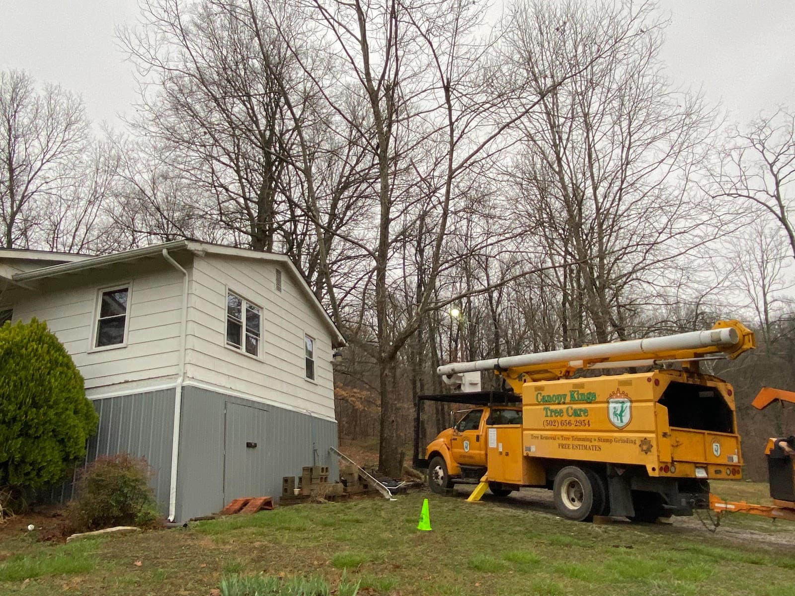 Canopy Kings Tree Care