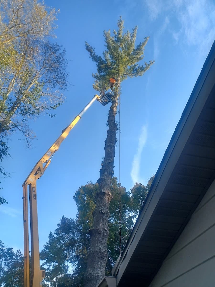 Aaron's Tree Service