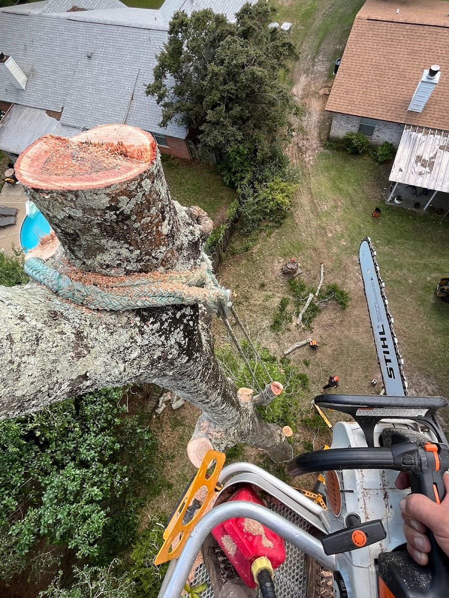 Evergreen Tree Service