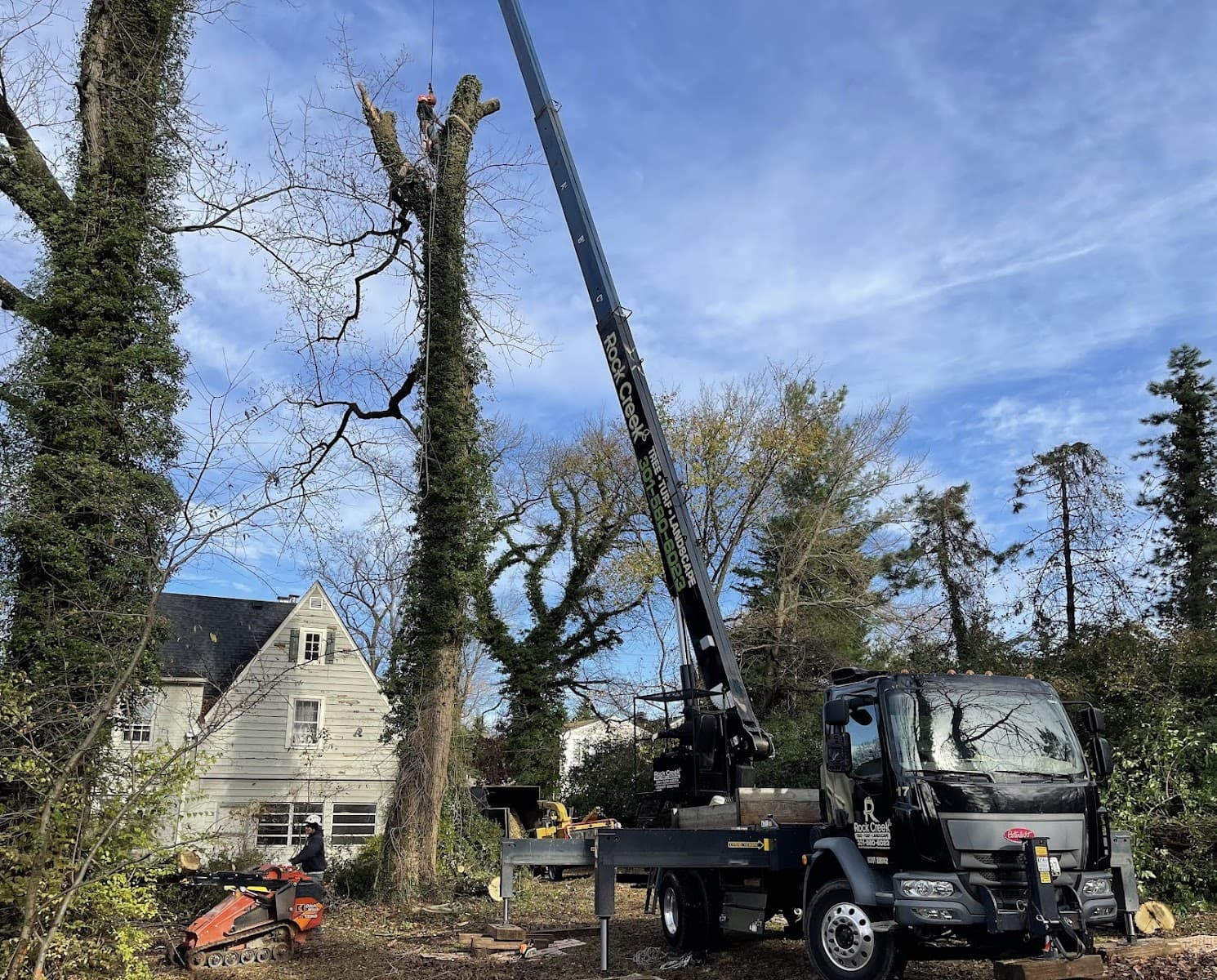 Rock Creek Tree, Turf & Landscape