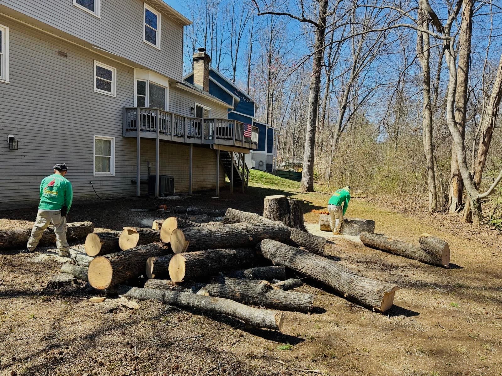 Cardinal Tree Care LLC