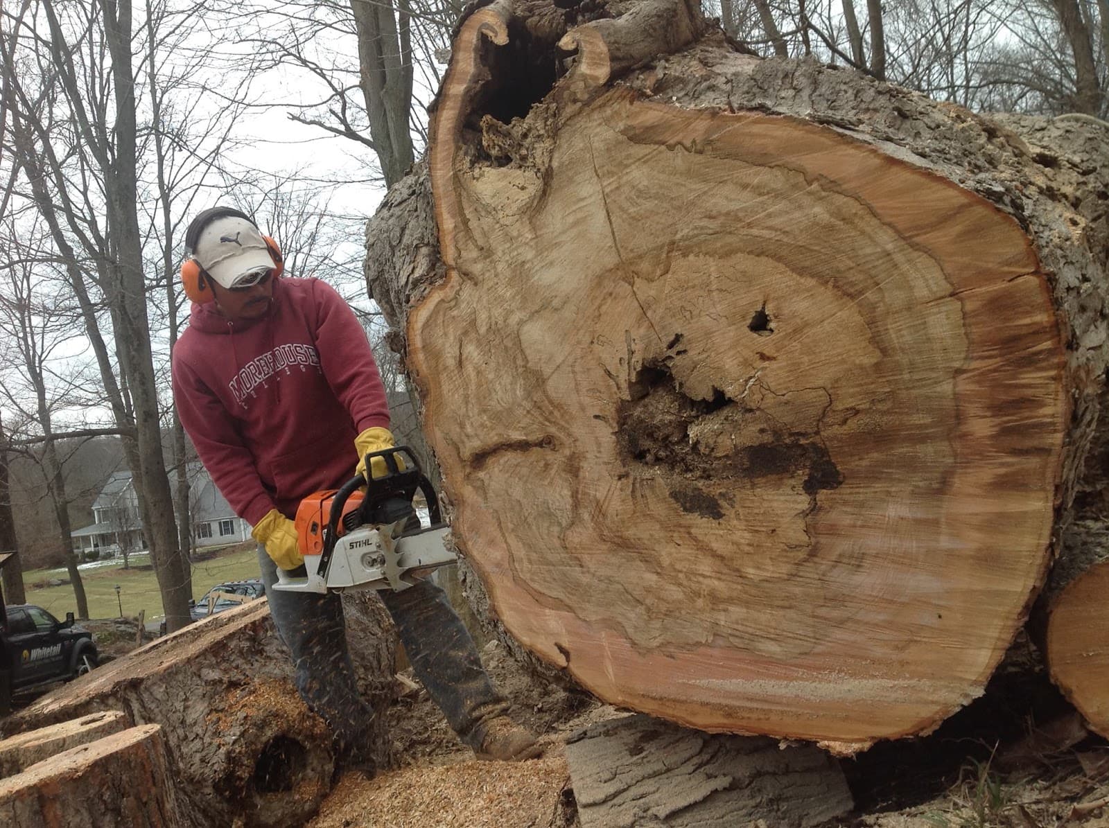 Whitetail Landscaping and Tree Service