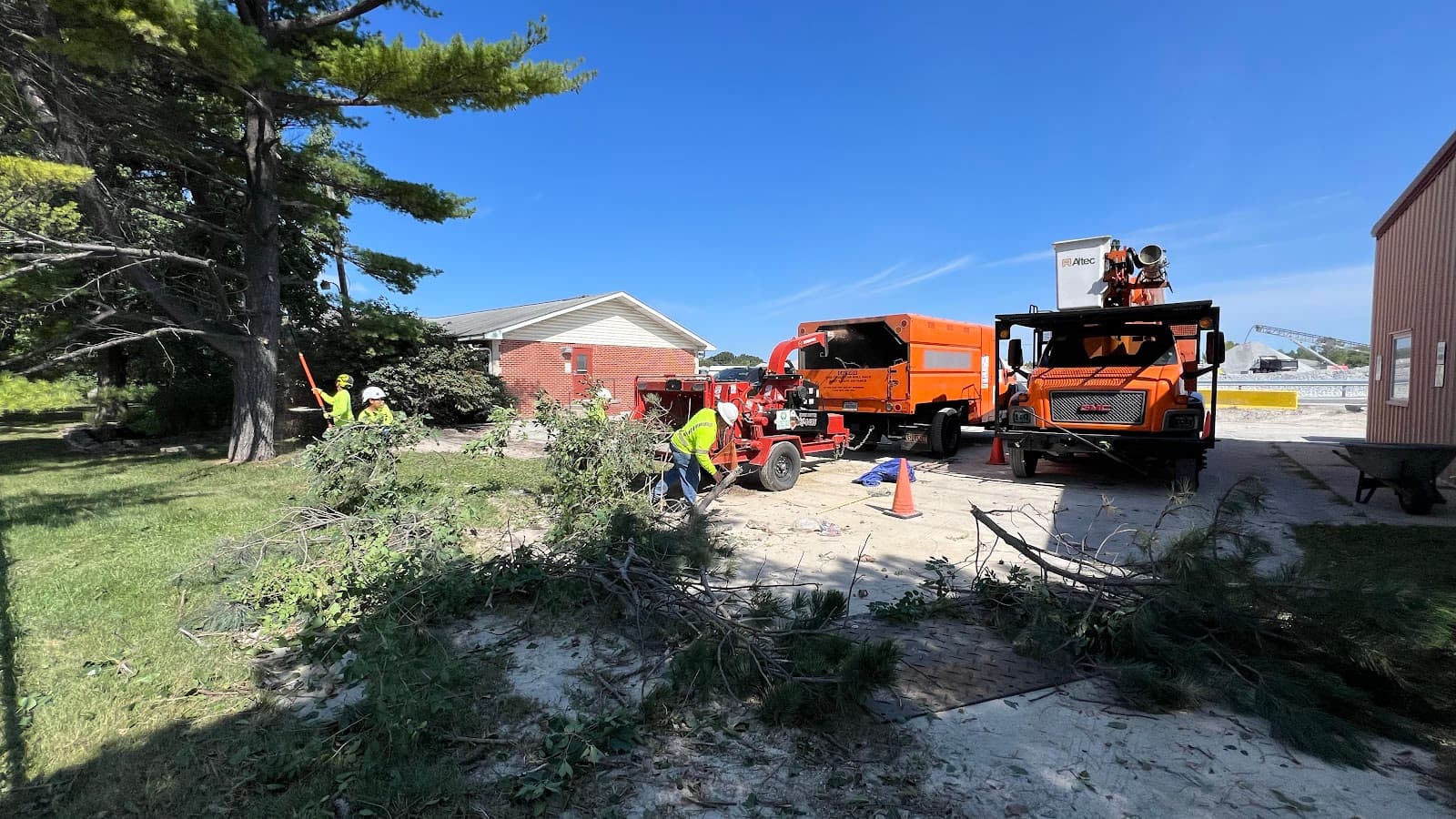 Tree Of Life Tree Service & Landscaping