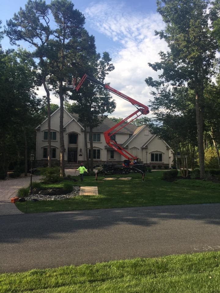 JMA Tree Service