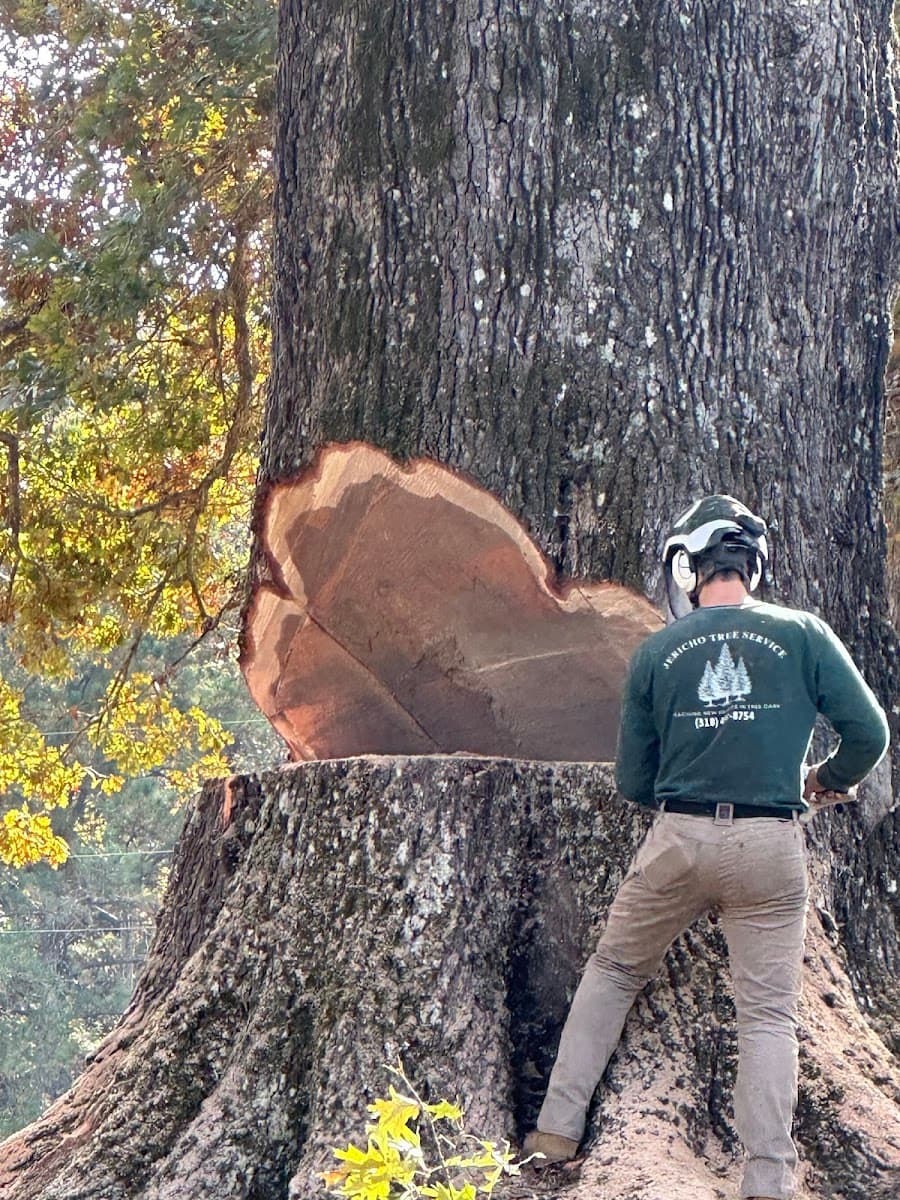 Jericho Tree Service LLC