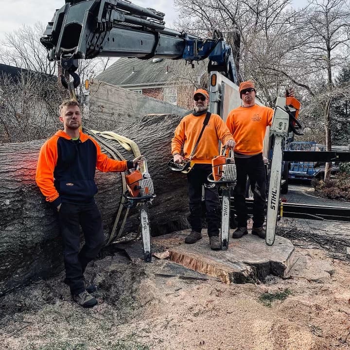 Martin Tree Service Inc.