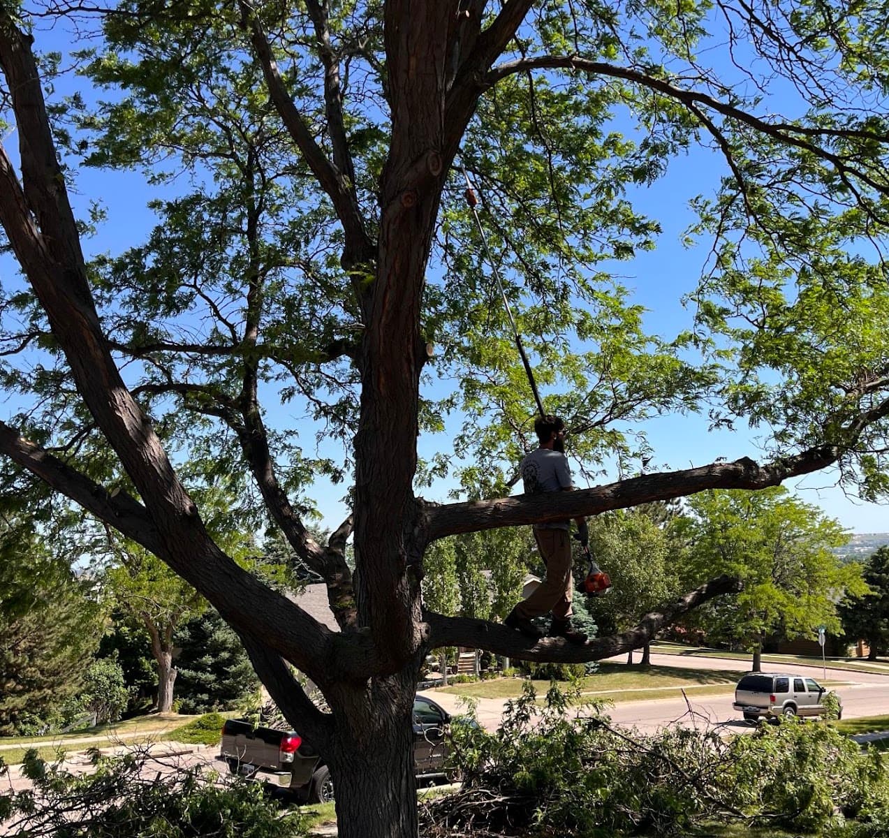 Hill's Tree Service, LLC