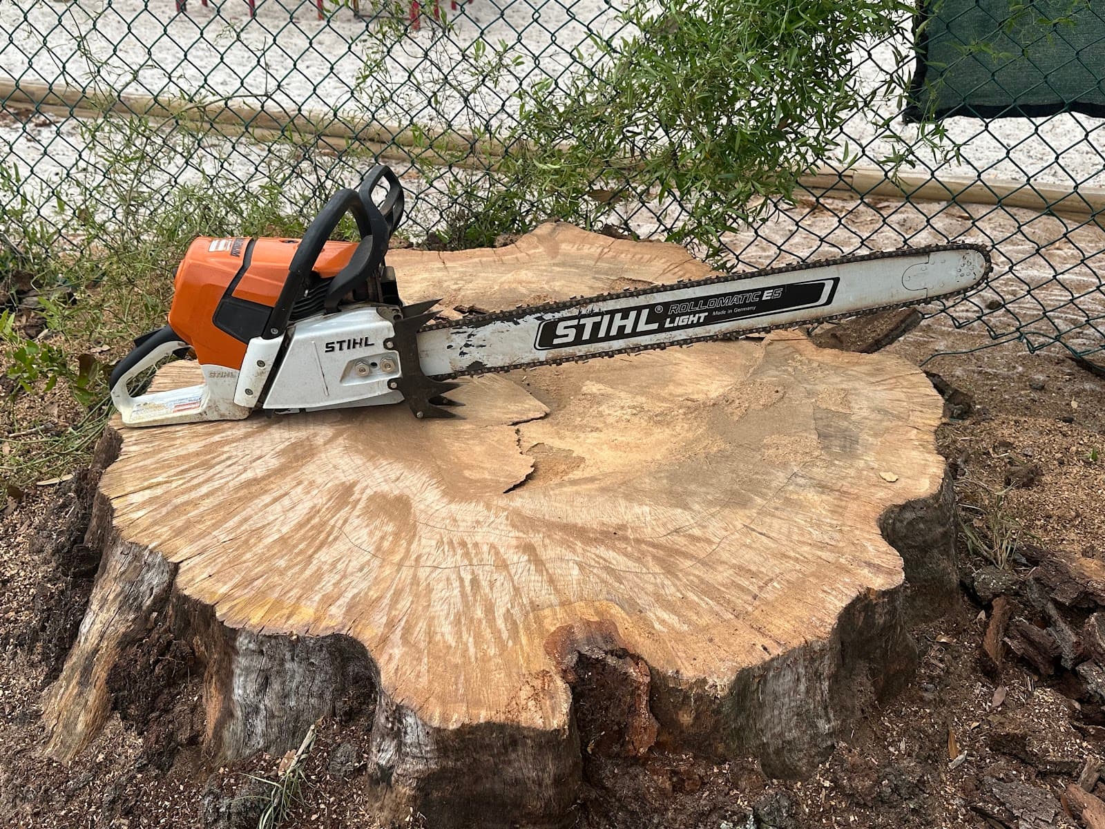 Braddock Bros Tree Care