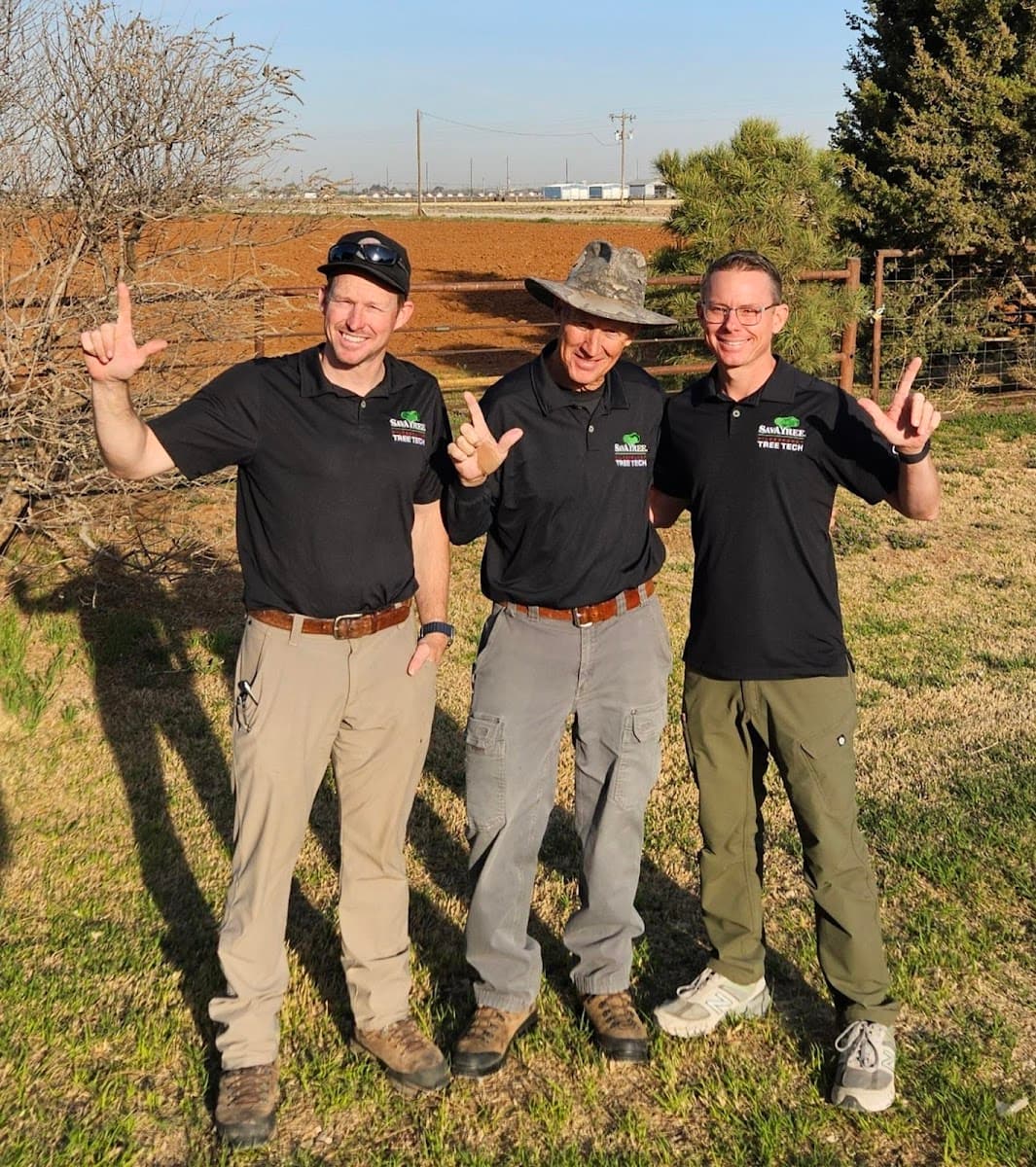 Hildebrandt Tree Tech - SavATree