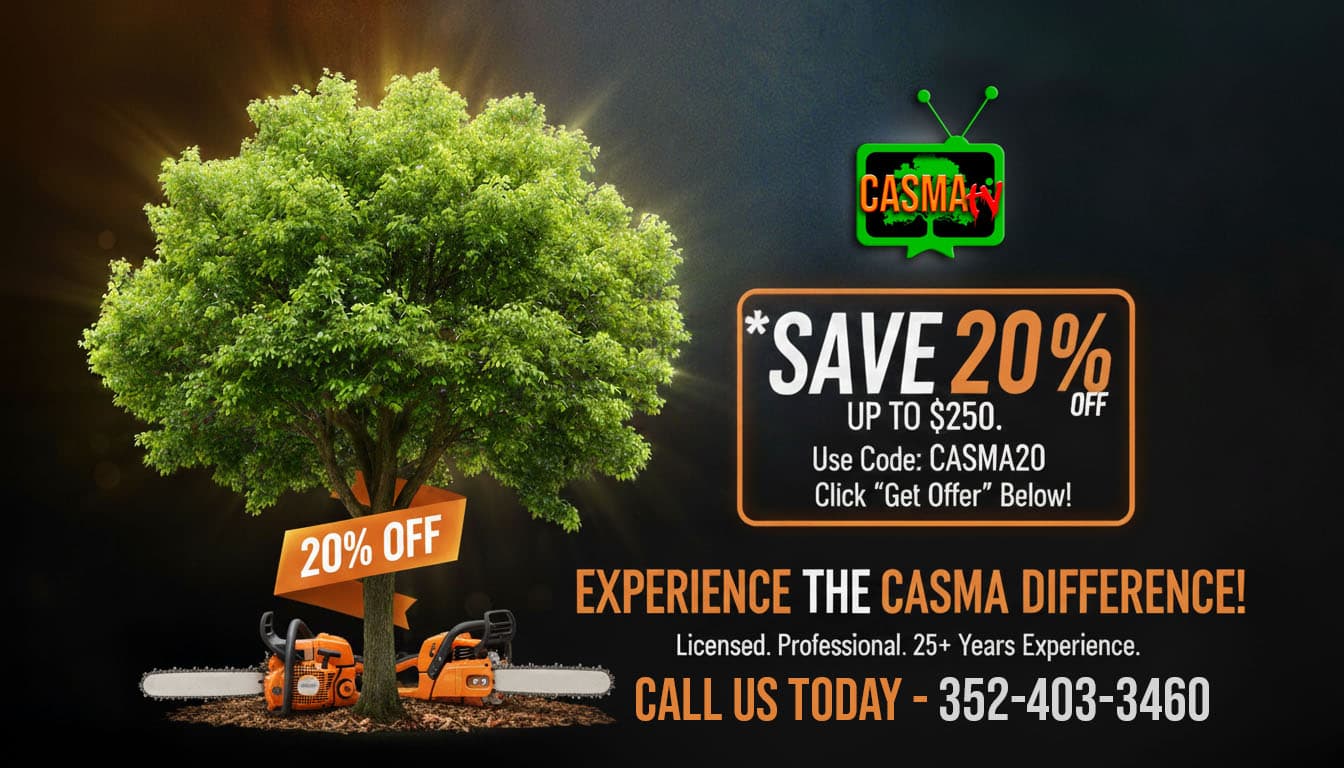 Casma Tree Services