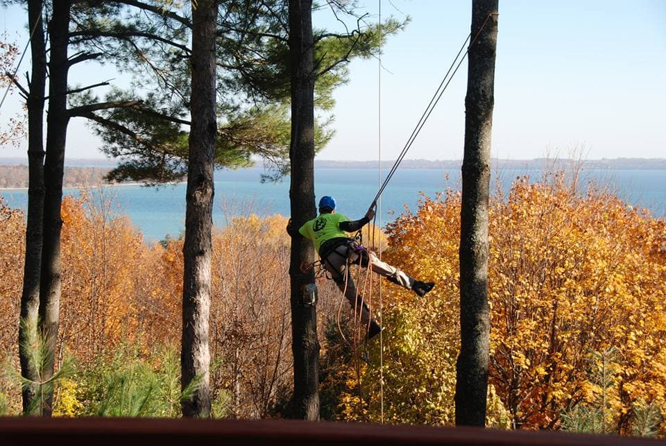 Lone Eagle Tree Service