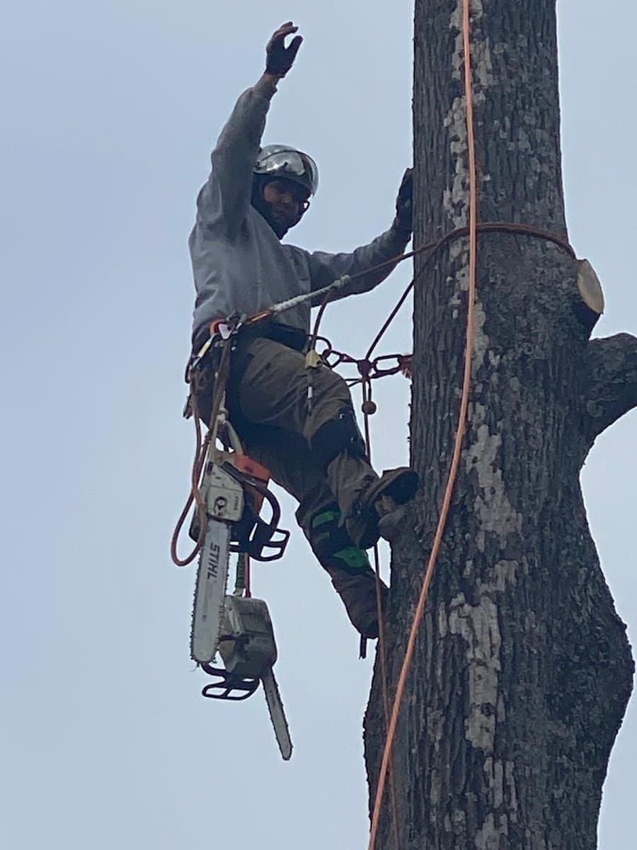 Mid-TN Tree Service