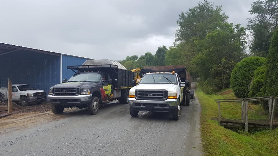 Mountain Tree Professionals