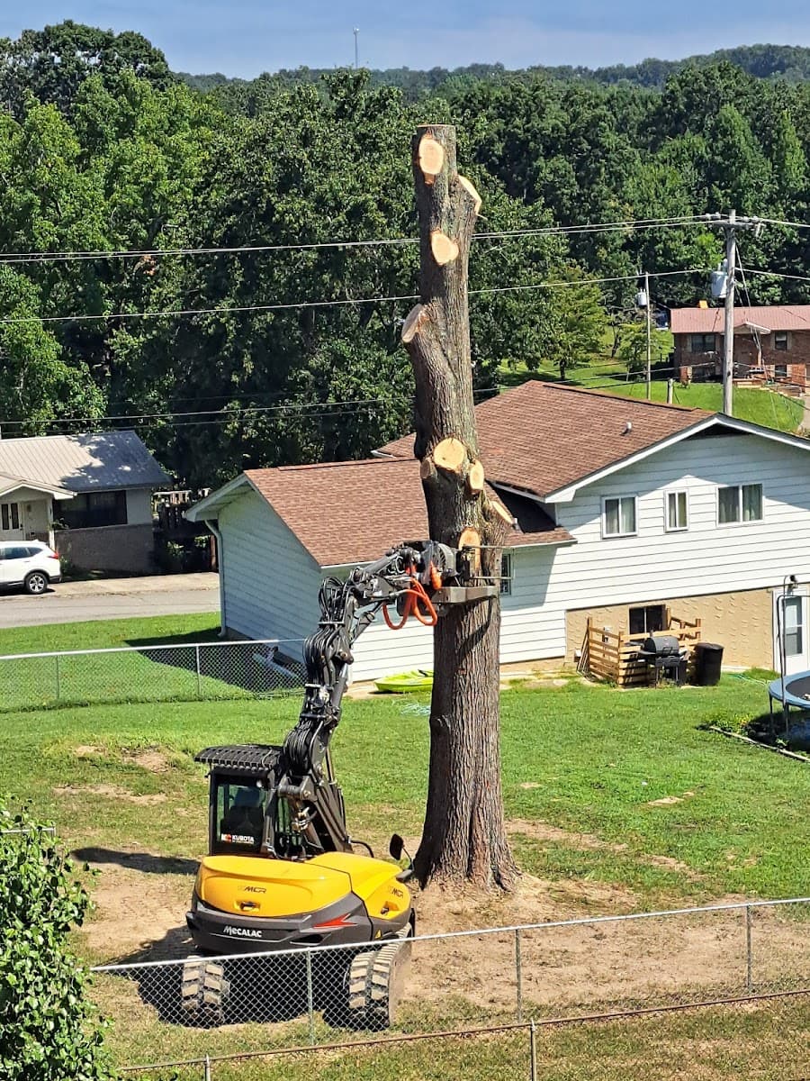 Ron Raby Tree Service