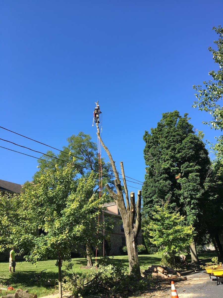 Nemeth Landscape LLC