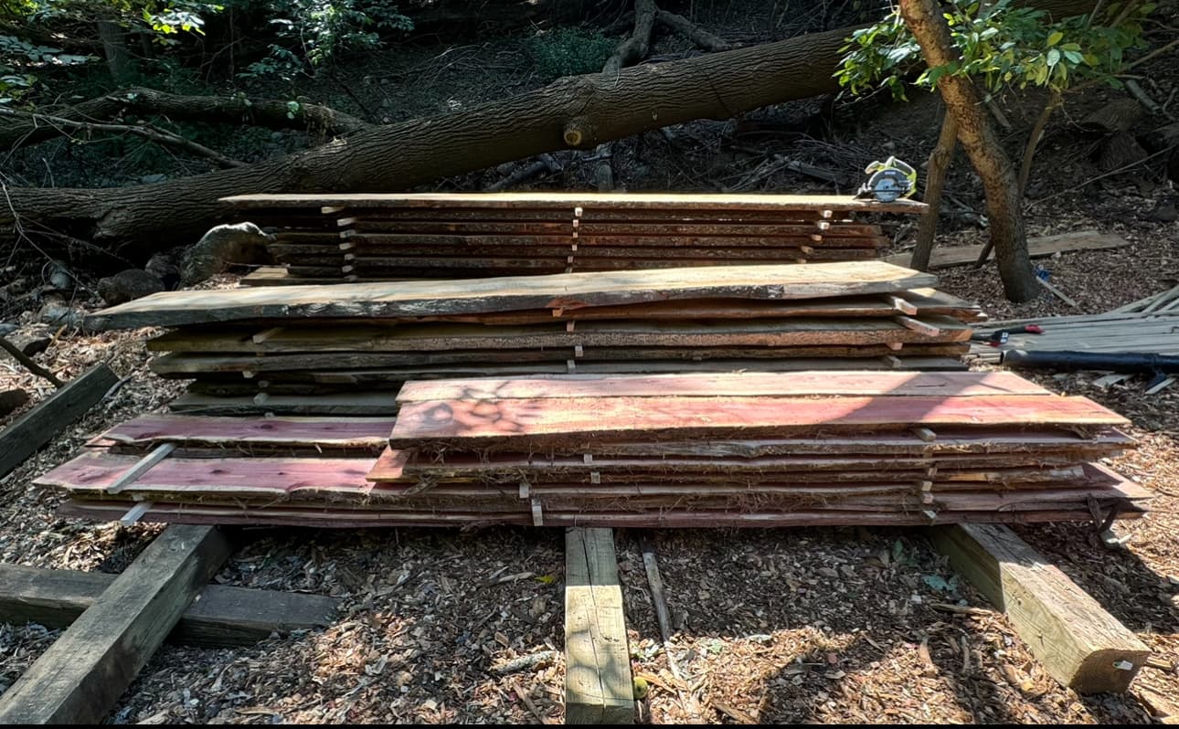 Adrian's Tree Service