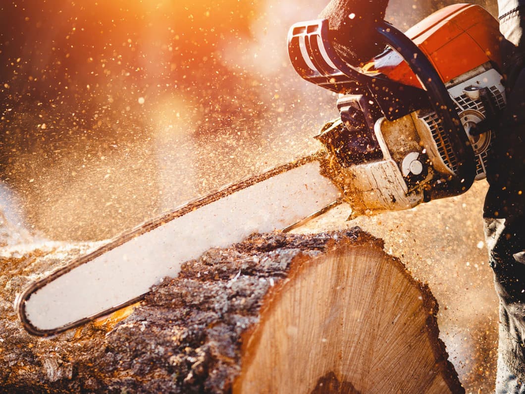 Scott's Tree Service