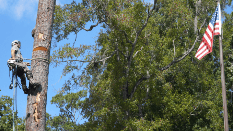 Duce Tree Service Inc