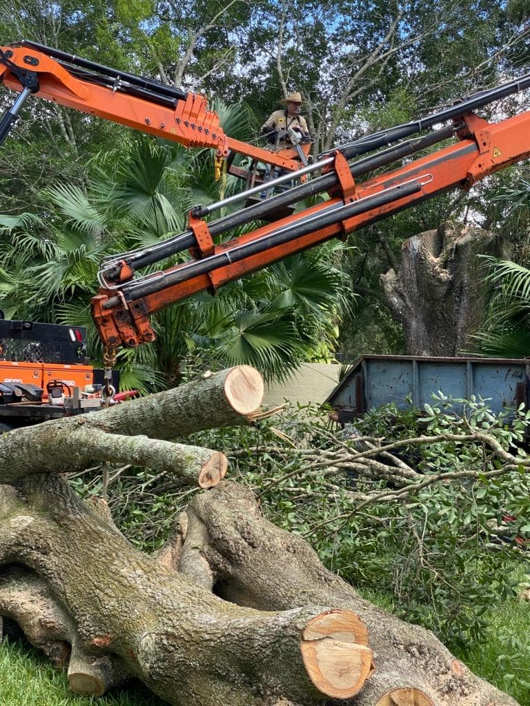 Jimmy Fosters Tree Service