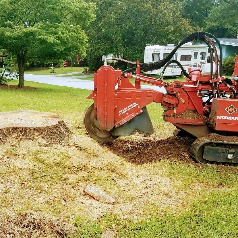 Atlantic Tree & Stump, LLC