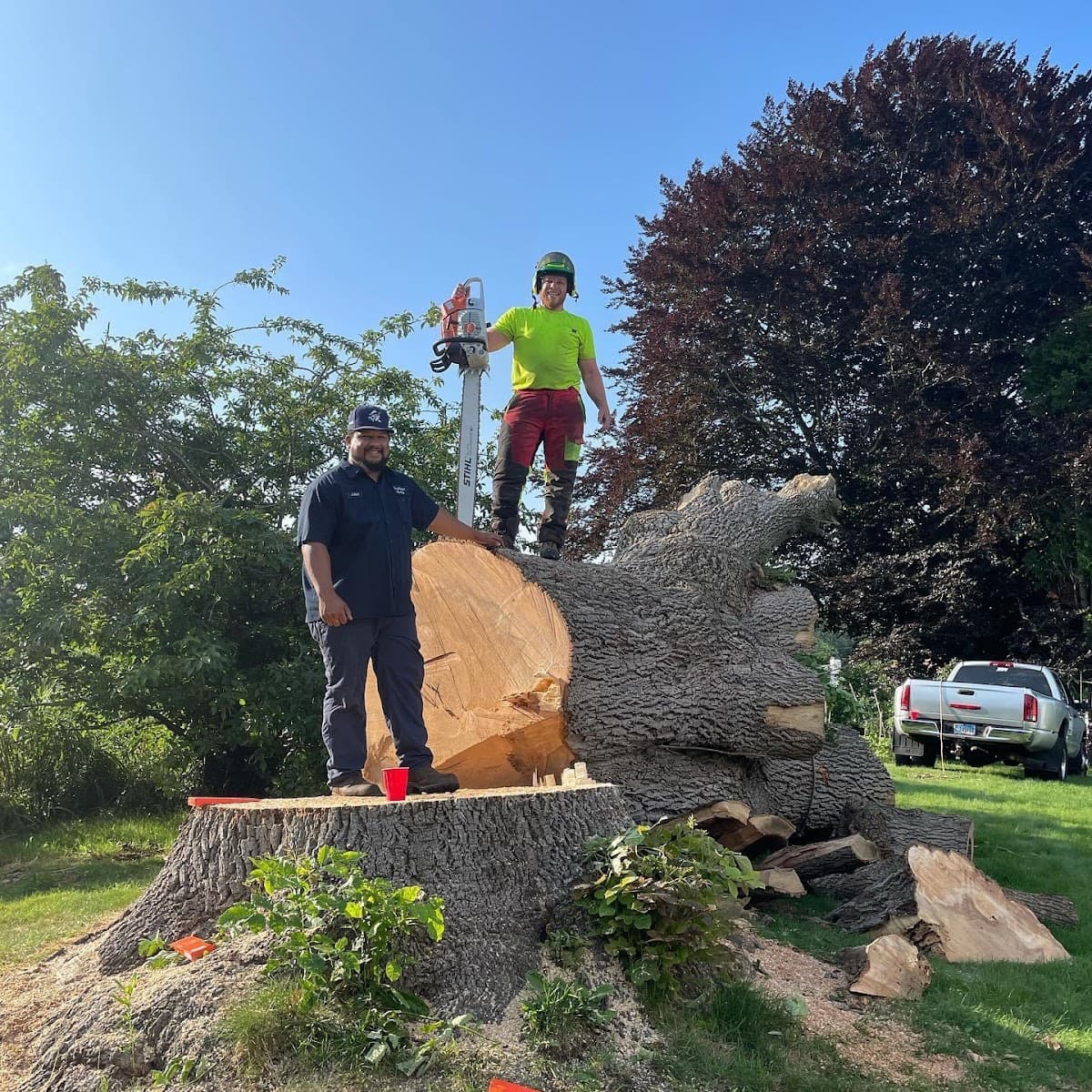 Satti's Family Trees