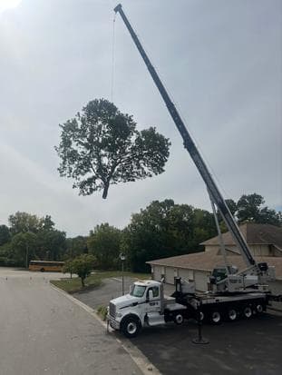 Perfect Landscape Tree & Services Inc