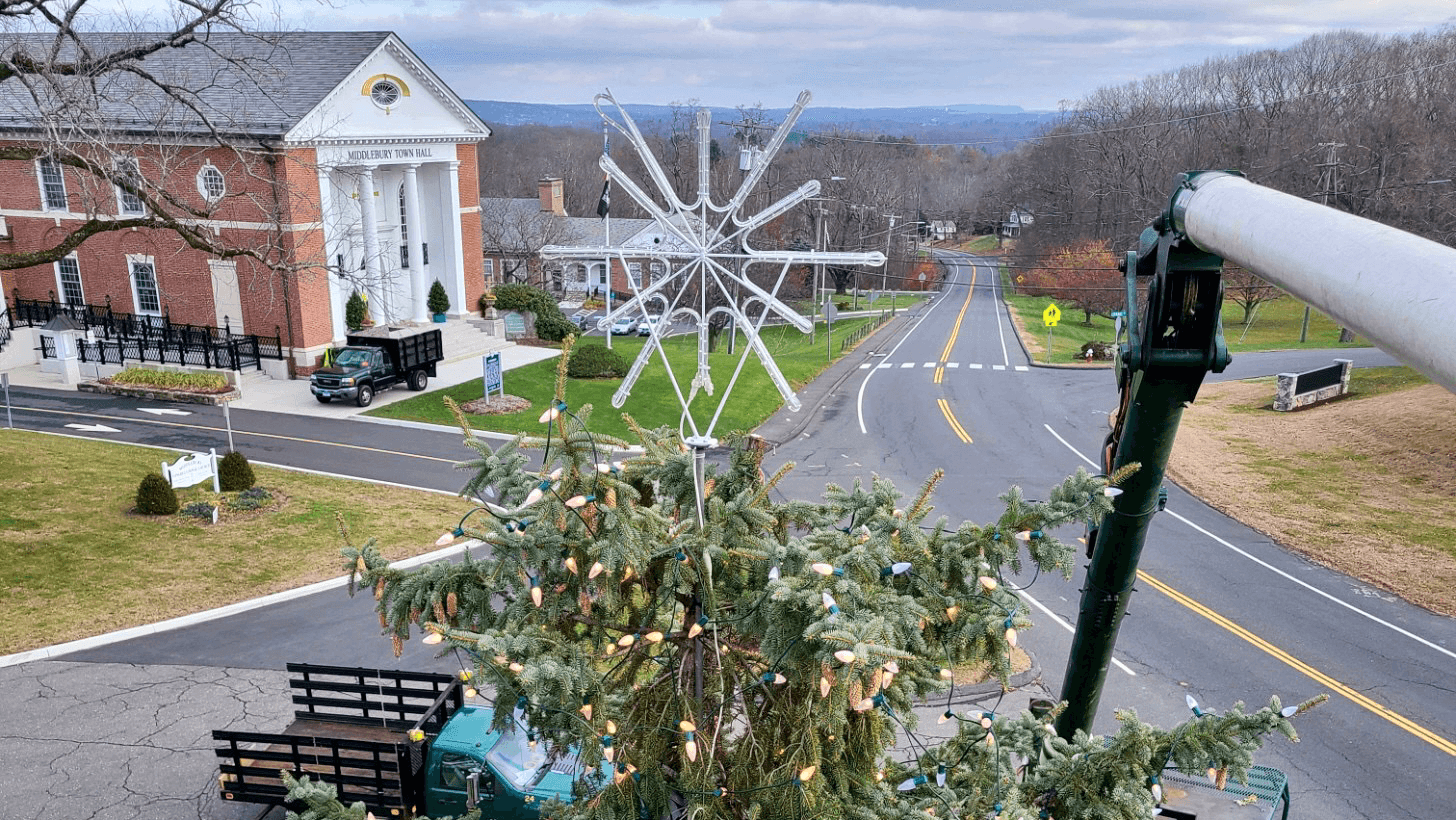 Brothers' Tree Service LLC