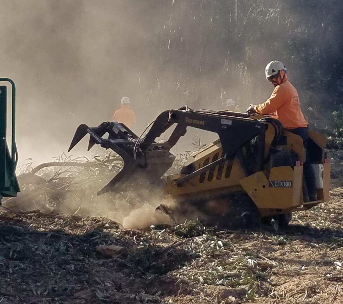 Central City Tree & Landscape Service