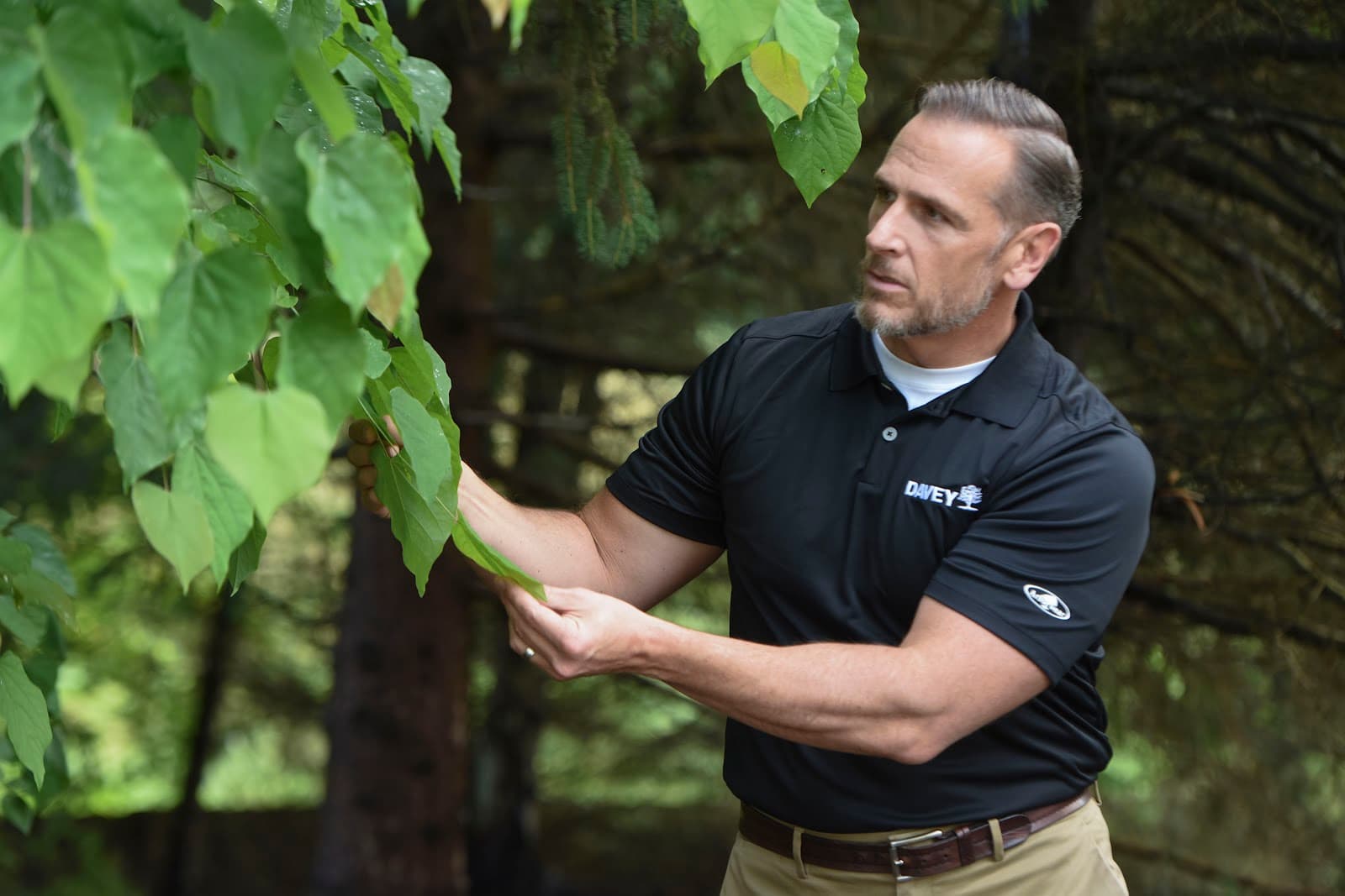 The Davey Tree Expert Company