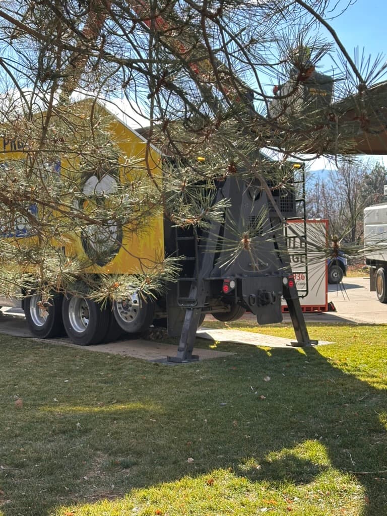 Rent A Monkey Tree Service