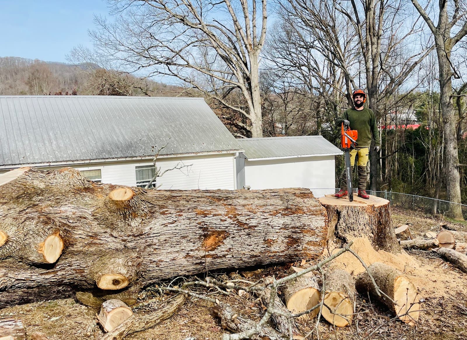 Bosky Land and Tree Care