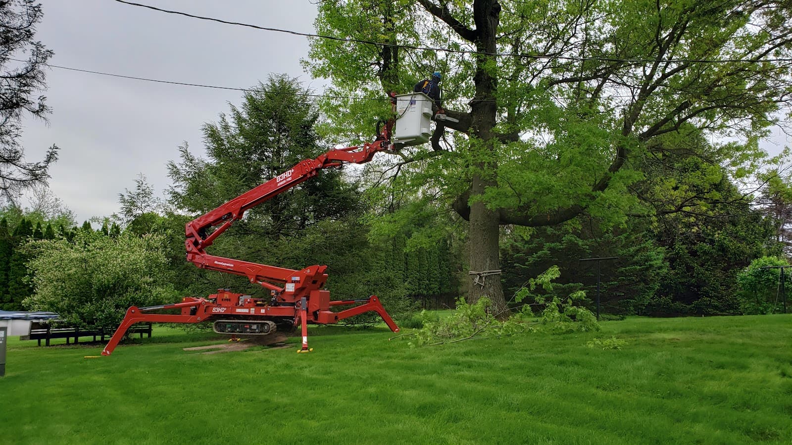 BetterScapes Lawn, Shrub & Tree Care