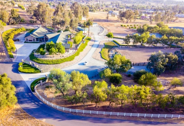 Dominguez Tree Service