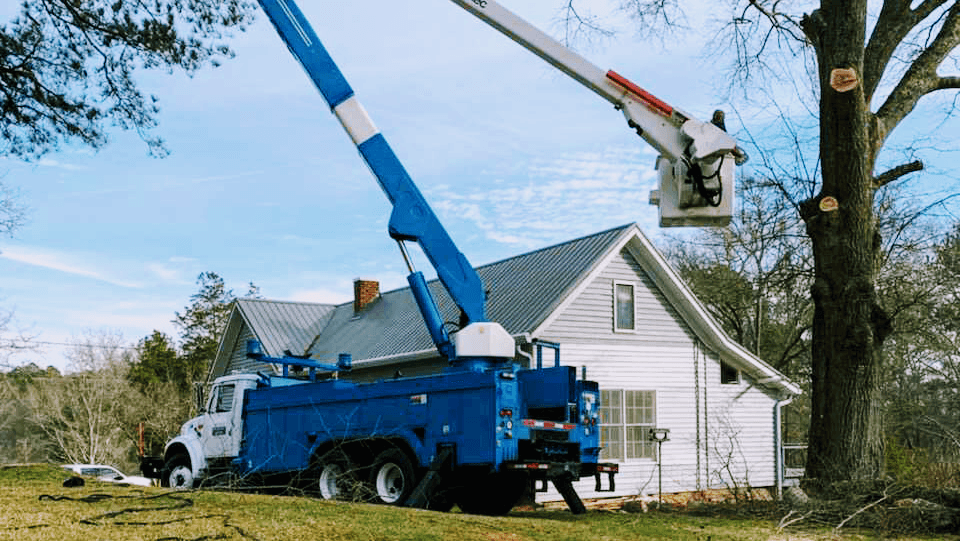 Rutherwood Tree Removal & Sawmills, LLC