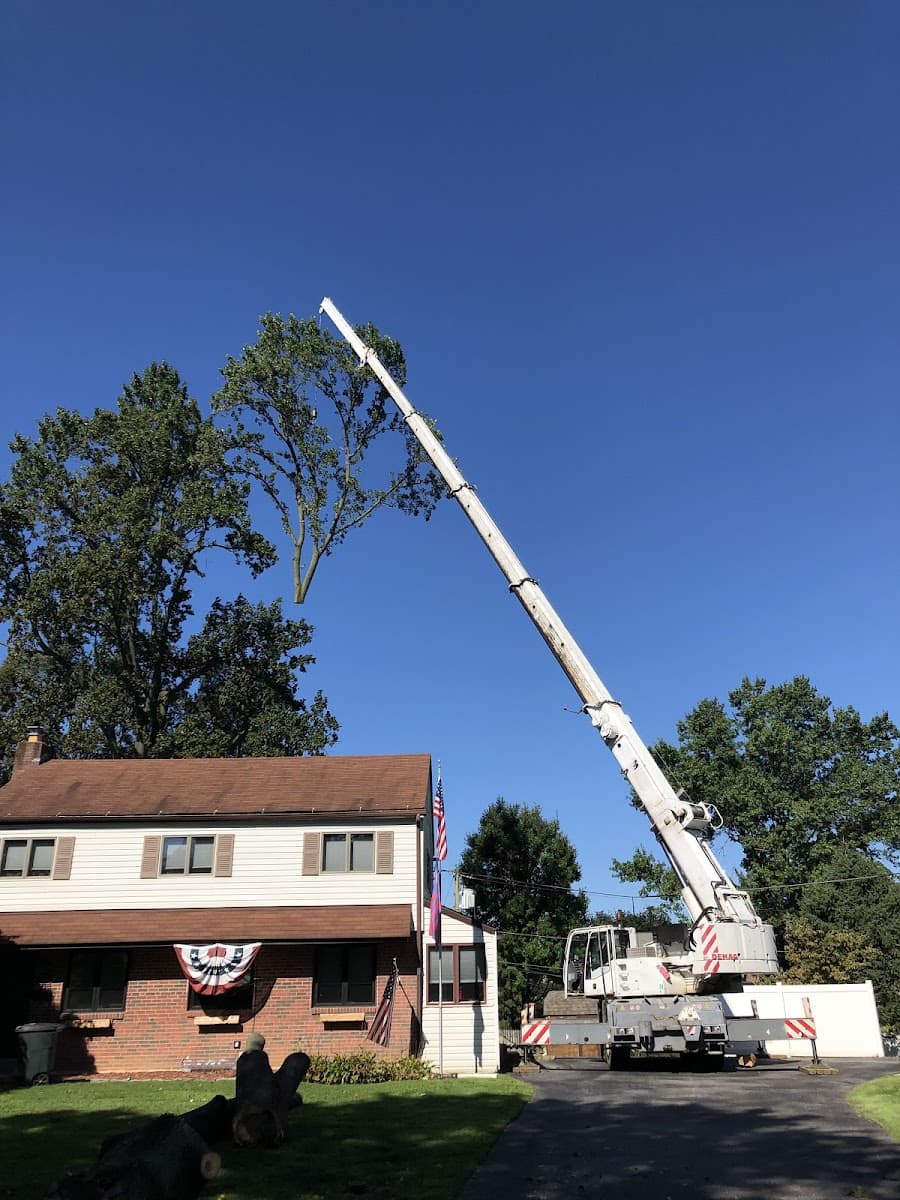 CPL Landscape and Tree