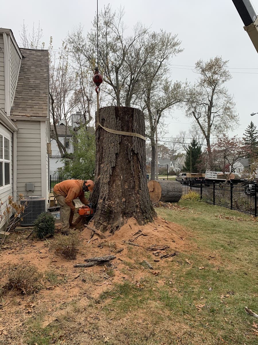 Big Timber Tree Service
