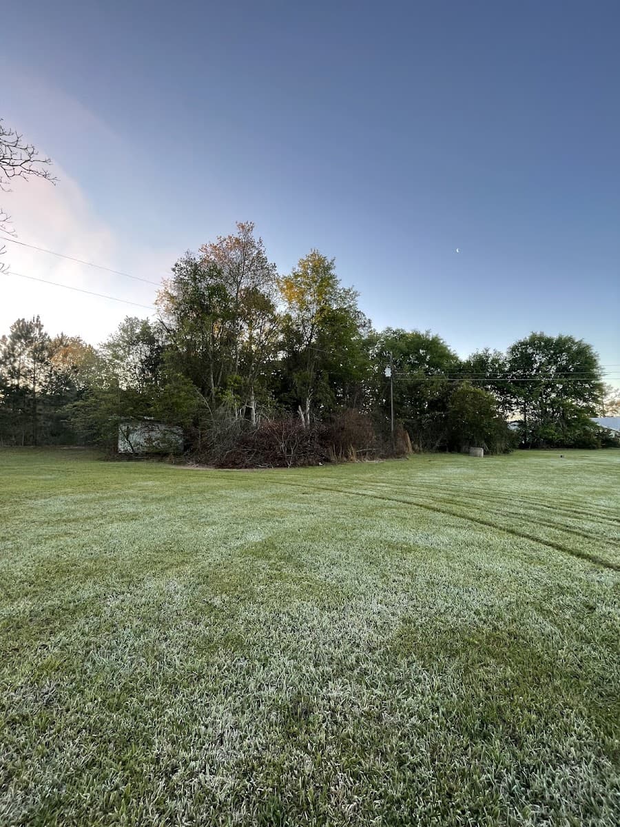 Quality Tree Experts