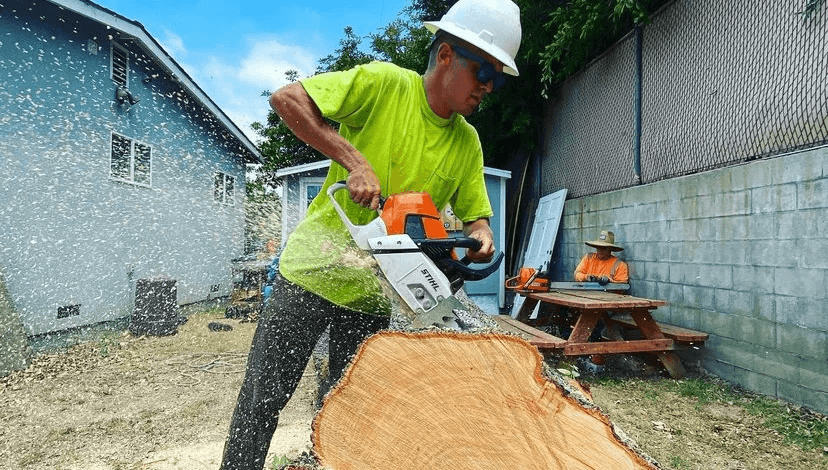 Beach Cities Tree Care Inc